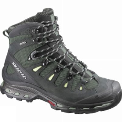 Womens Quest 4D 2 GTX Boot Womens Quest 4D 2 GTX Boot